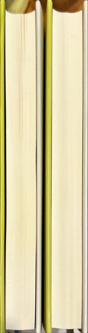 放物型発展方程式とその応用 (上・下)