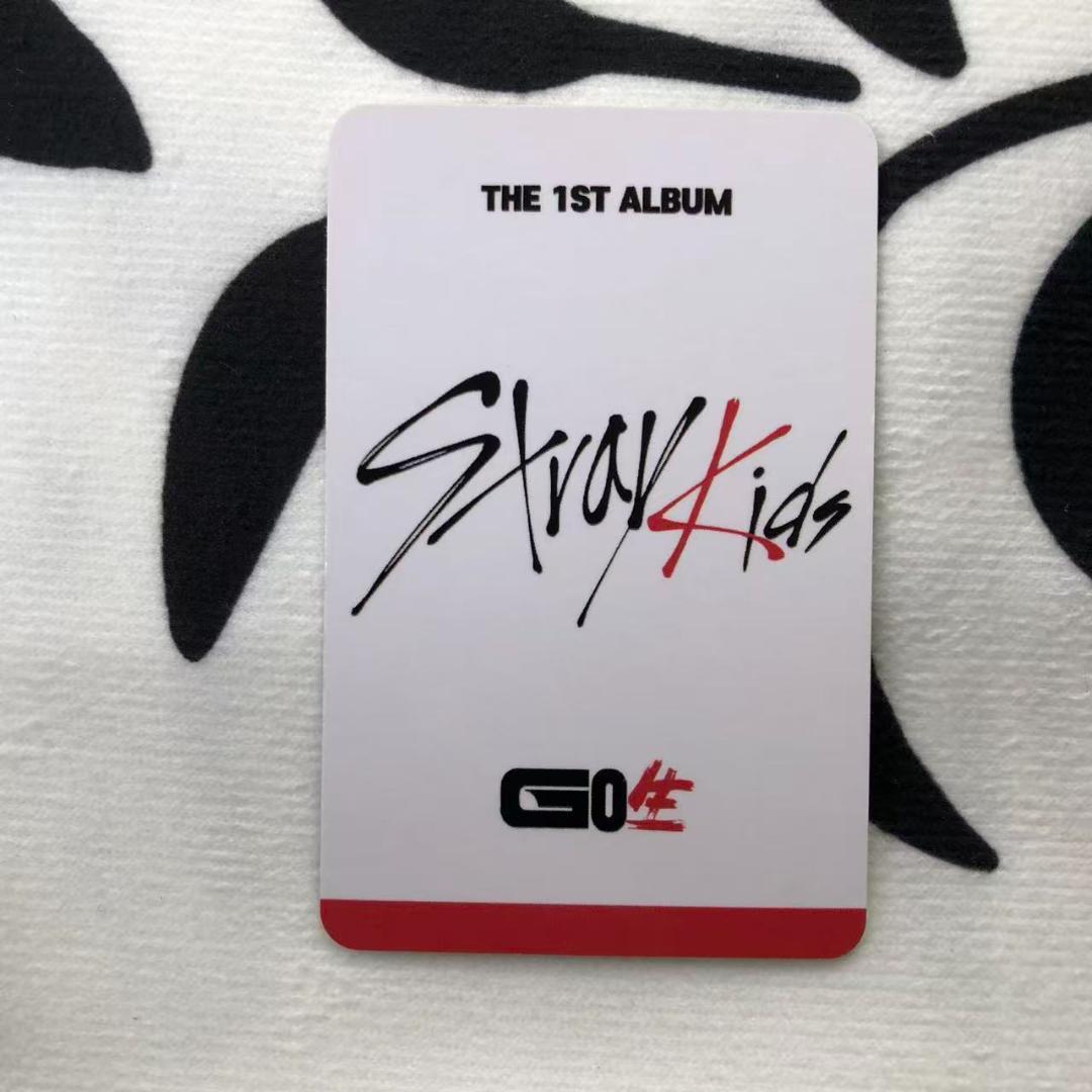 Straykids スキズ チャンビン go生 subk 店舗特典 限定 トレカ