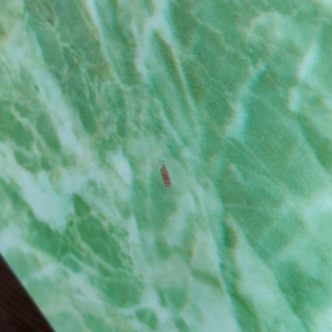 ヴィンテージ レトロ マーブル 変形テーブル センターテーブル