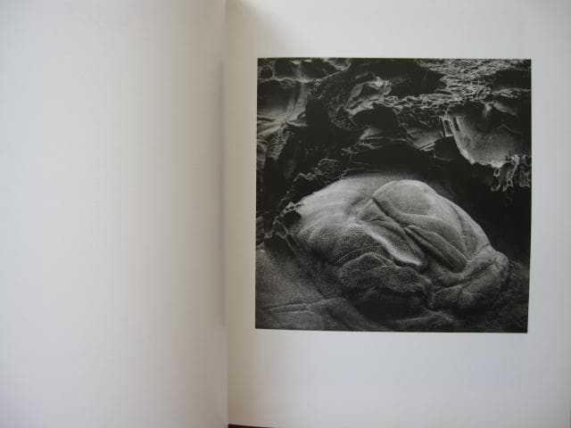 In the Nature of Things　Jack Stuler