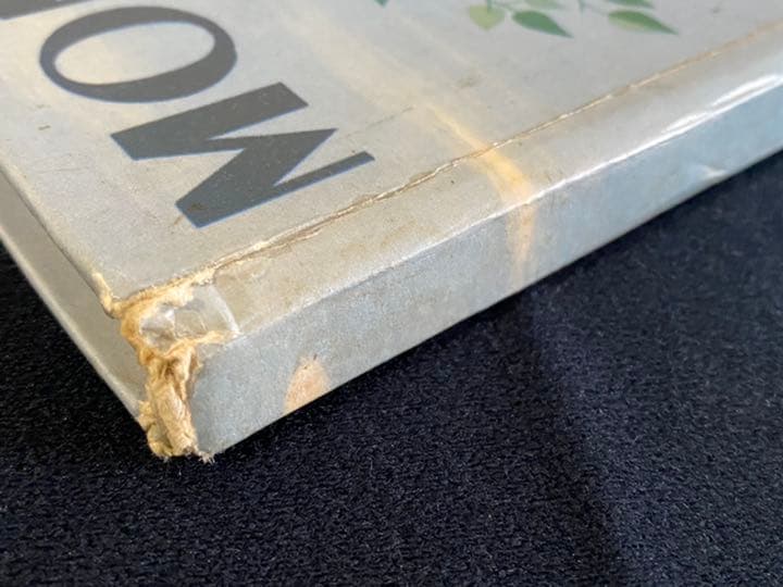 【フランスの50年代の本】子供用フランス語の図解辞書