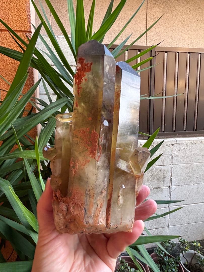 天然シトリン　クラスター　スモーキーシトリン　ゼウス　ファントム　2020g.