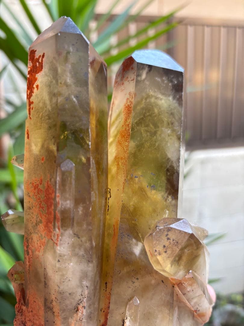 天然シトリン　クラスター　スモーキーシトリン　ゼウス　ファントム　2020g.