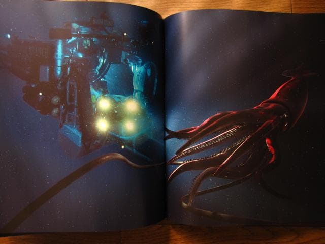 アート・デザイン・音楽 The Extraordinary Creatures of the Abyss