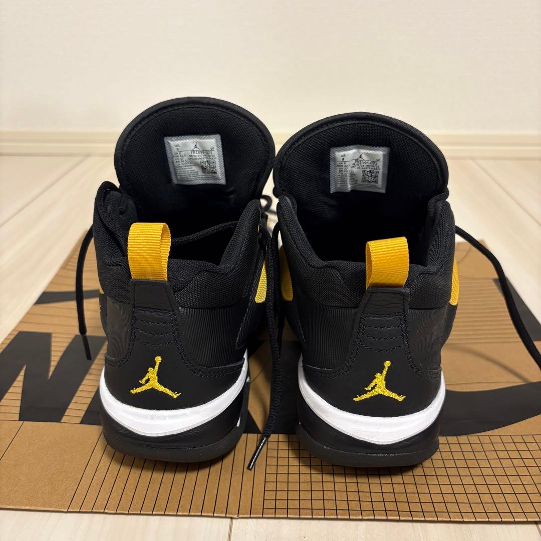 ジョーダンステイロイヤル3