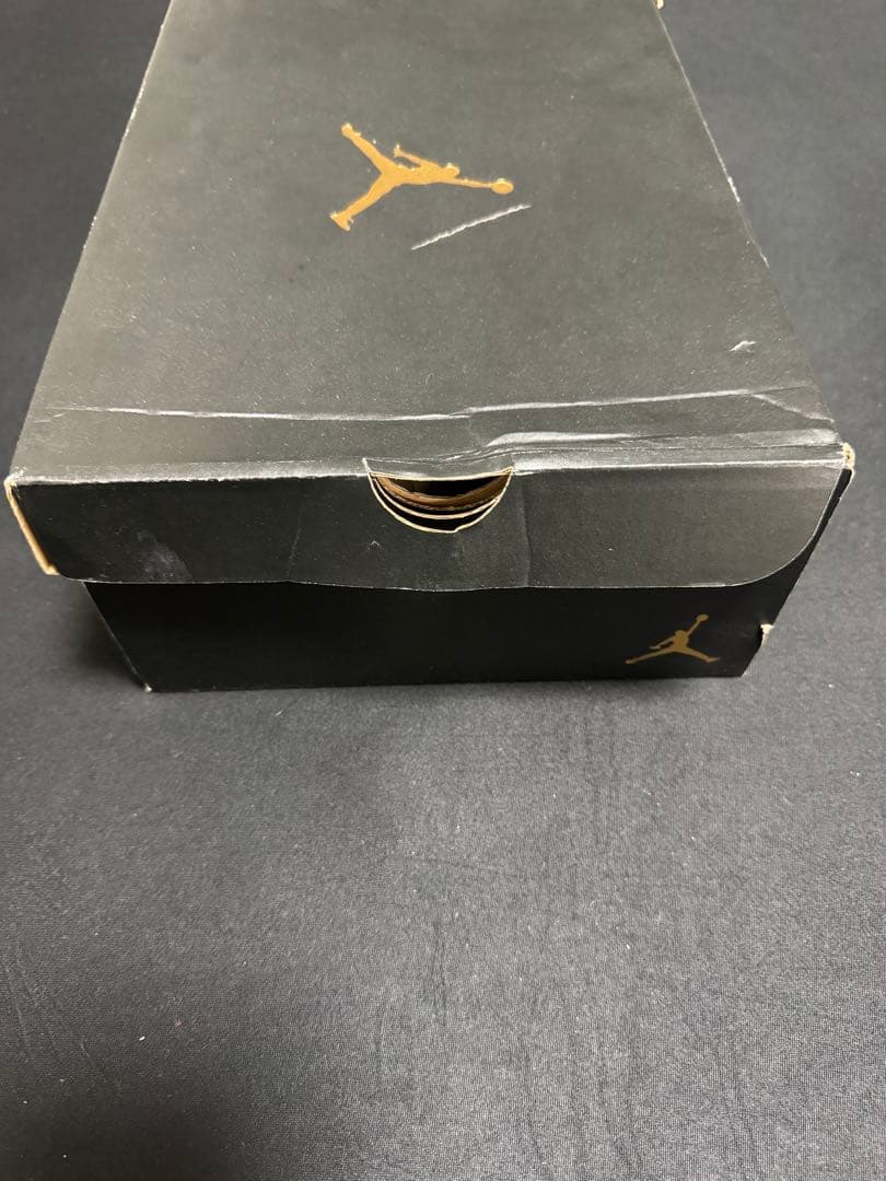 JordanⅫ 27cm ジョーダン ゴルフ ナイキ