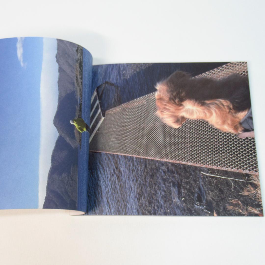 今,何処 デラックス・エディション 佐野元春 & THE COYOTE BAND