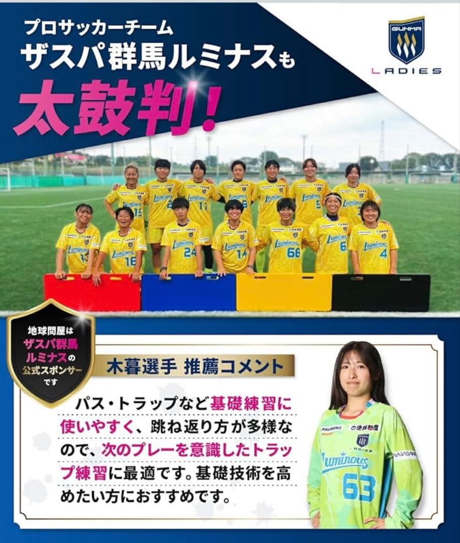 新品未使用品✨ KaRaDaStyle リバウンドボード サッカー 練習壁打ち