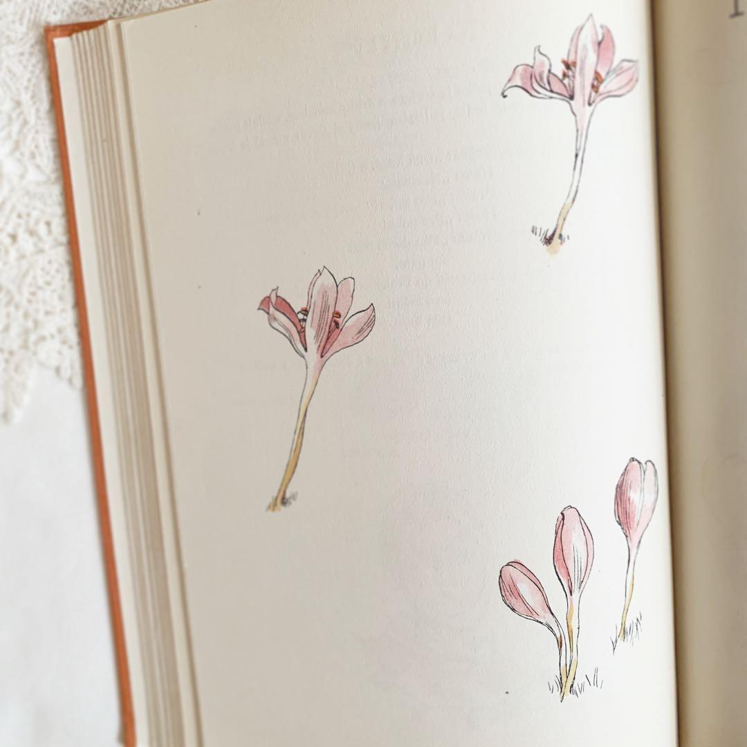 「秋」⋆素敵な挿画のチェコ古書 1954年 カレル・スヴォリンスキー　ビンテージ