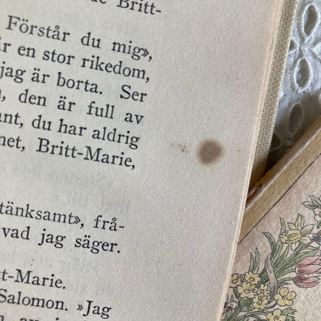 L911洋書古書1923年エイナルネイマンが挿絵を添えた希少なアンティークブック