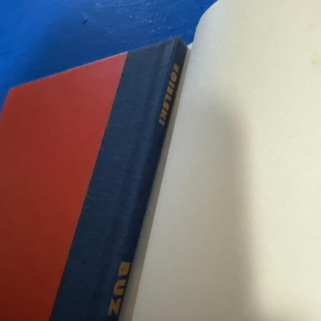 洋書　BUZ リチャード・エギルスキー著