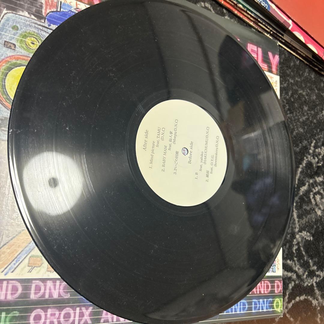 【希少LP】QROIX & D.N.C / MUZIK MAKES ME FLY