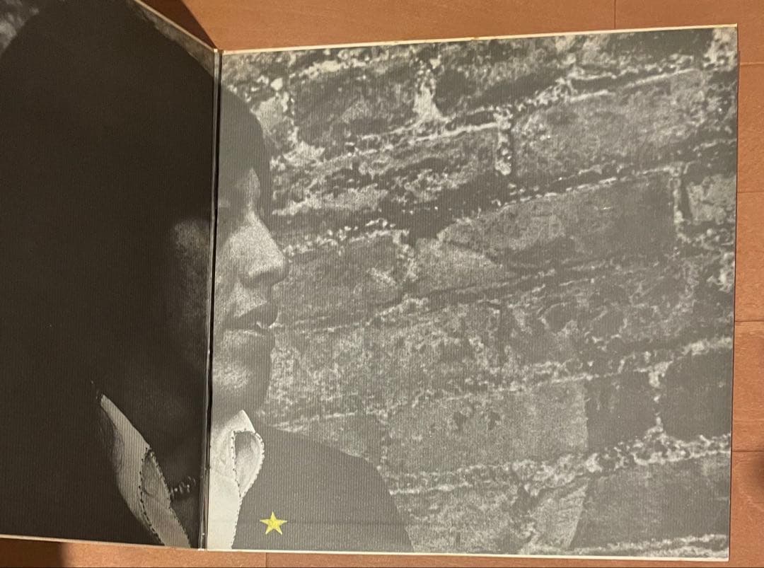 希少国内初盤LPレコード　　 ジェシ•デイヴィス　JESSE DAVIS 2枚