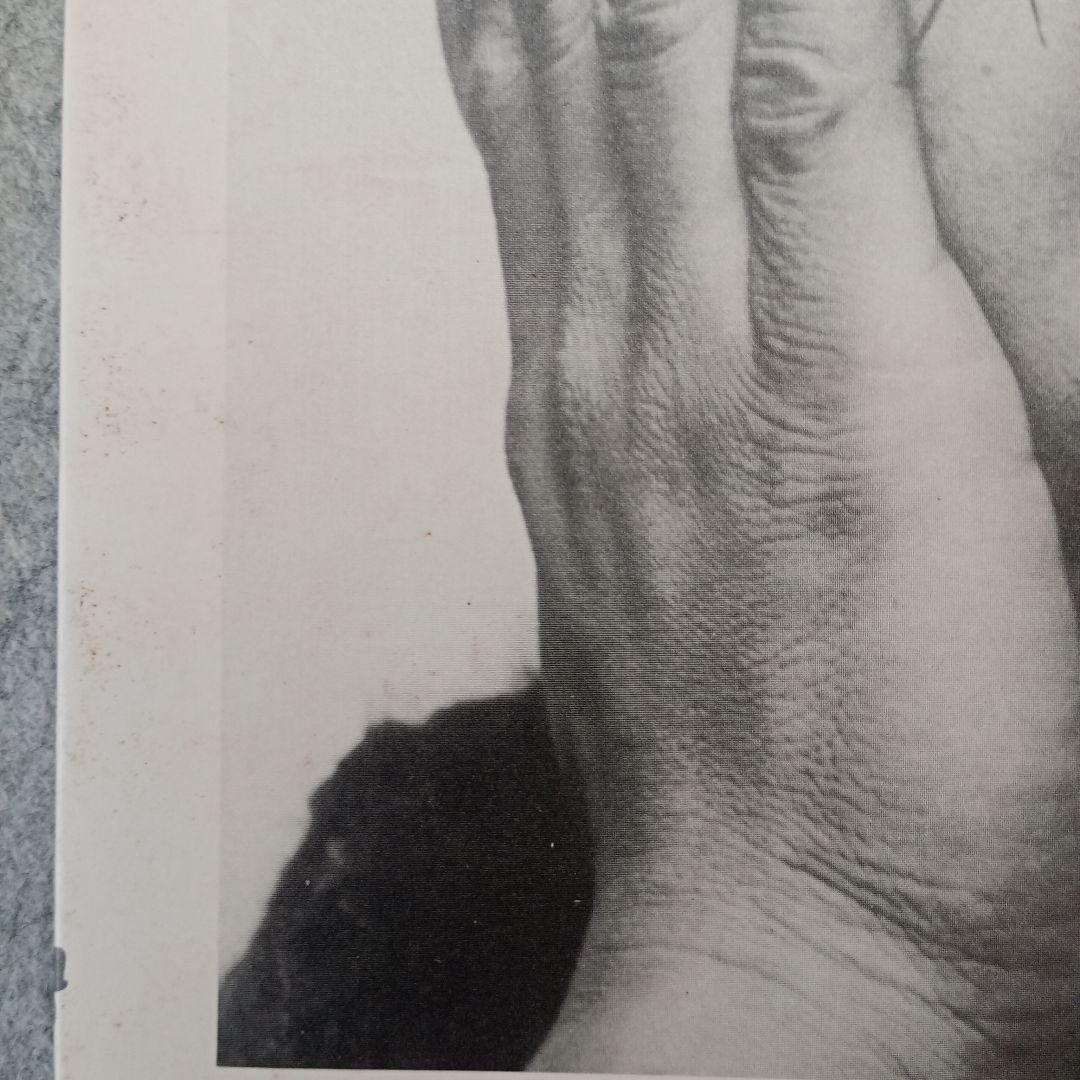 heartbeat(ピアノ楽譜) - 坂本龍一