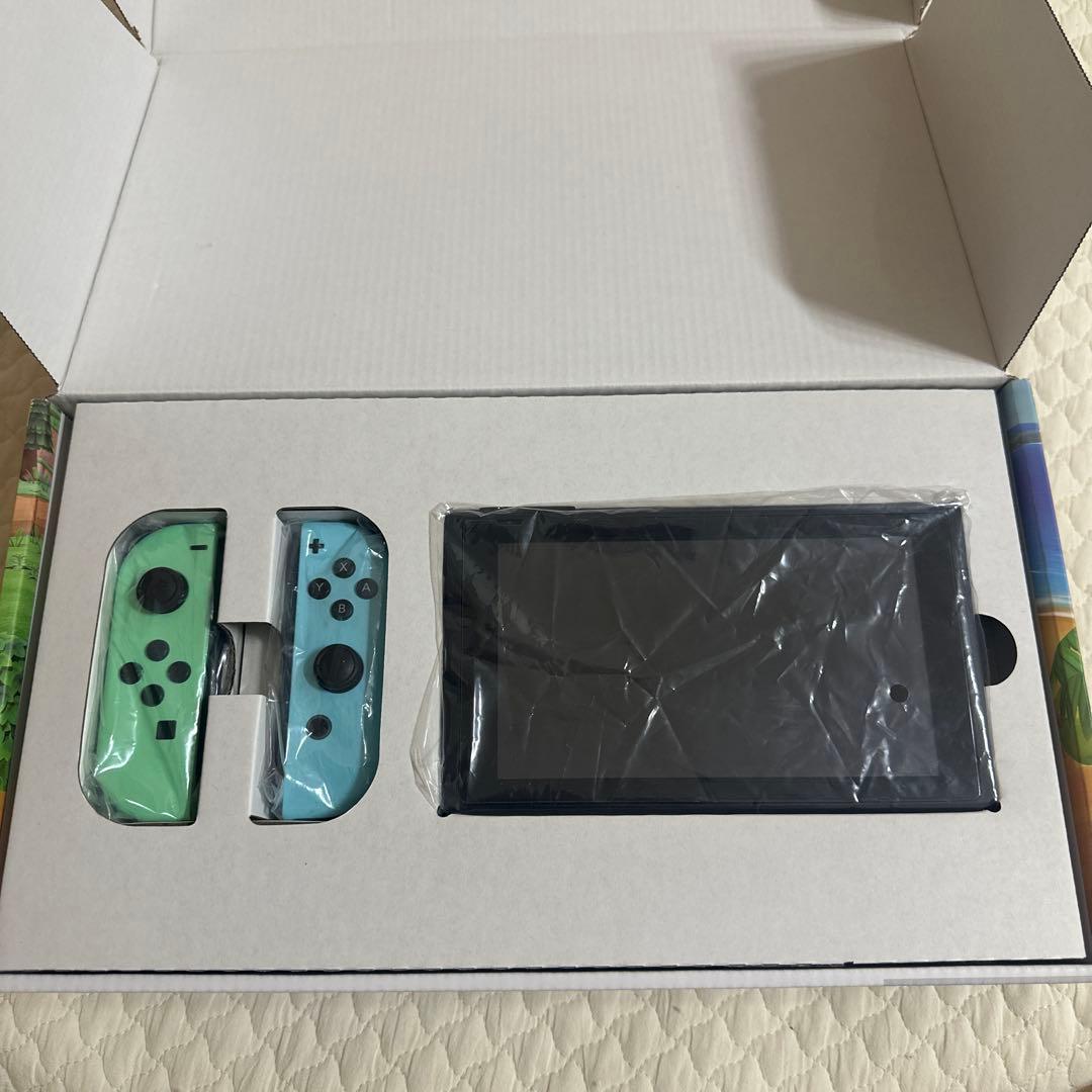 Nintendo Switch あつまれどうぶつの森　デザイン