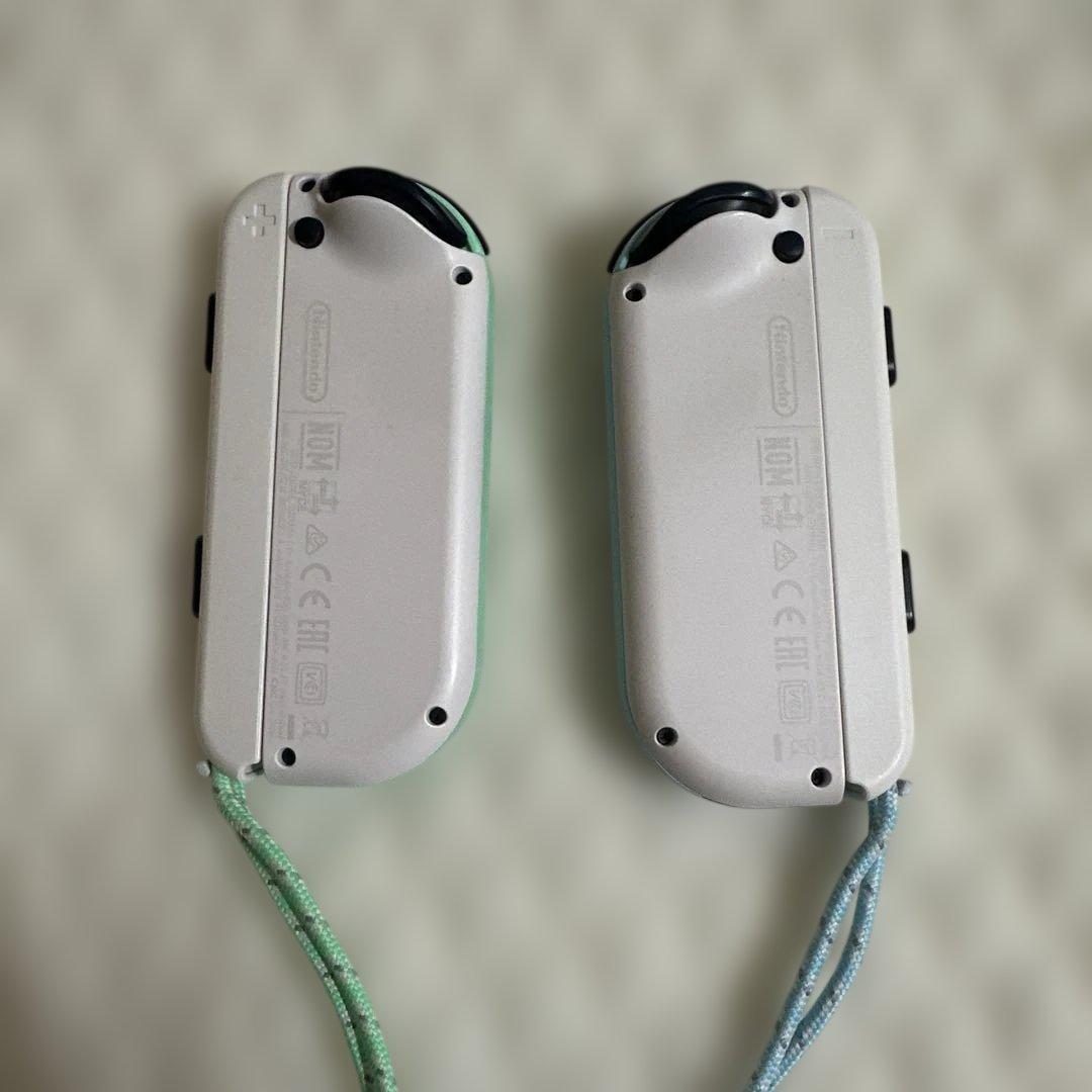 Nintendo Switch あつまれどうぶつの森　デザイン