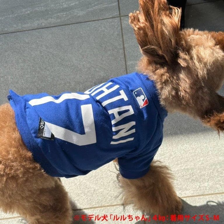 送料無料新品★犬の洋服ＭＬＢ公式ドジャース大谷翔平ユニホームＴシャツＳ～Ｍサイズ
