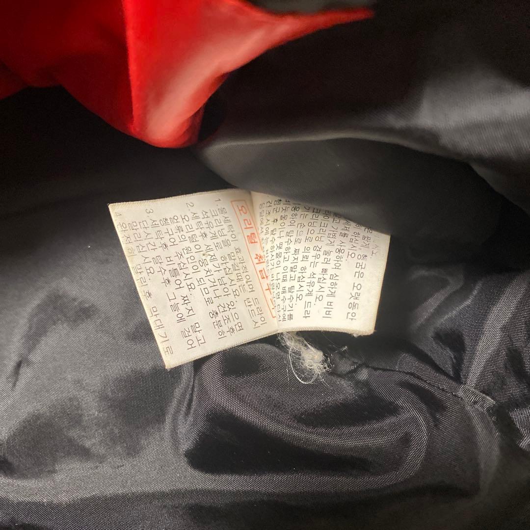 THE NORTH FACE SUMMIT SERIES ダウンベスト M