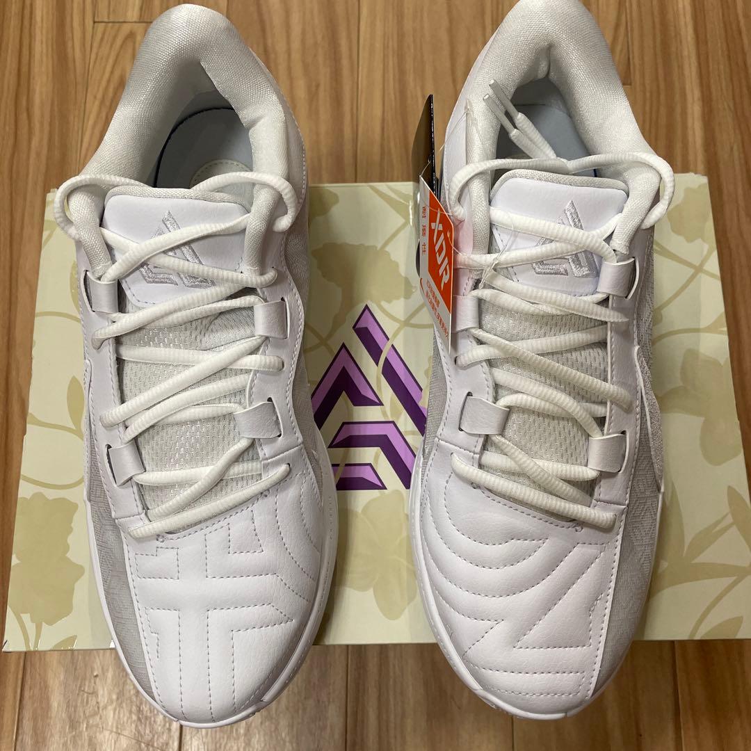 シューズ(男性用) NIKE ZOOM freak 5 TB EP