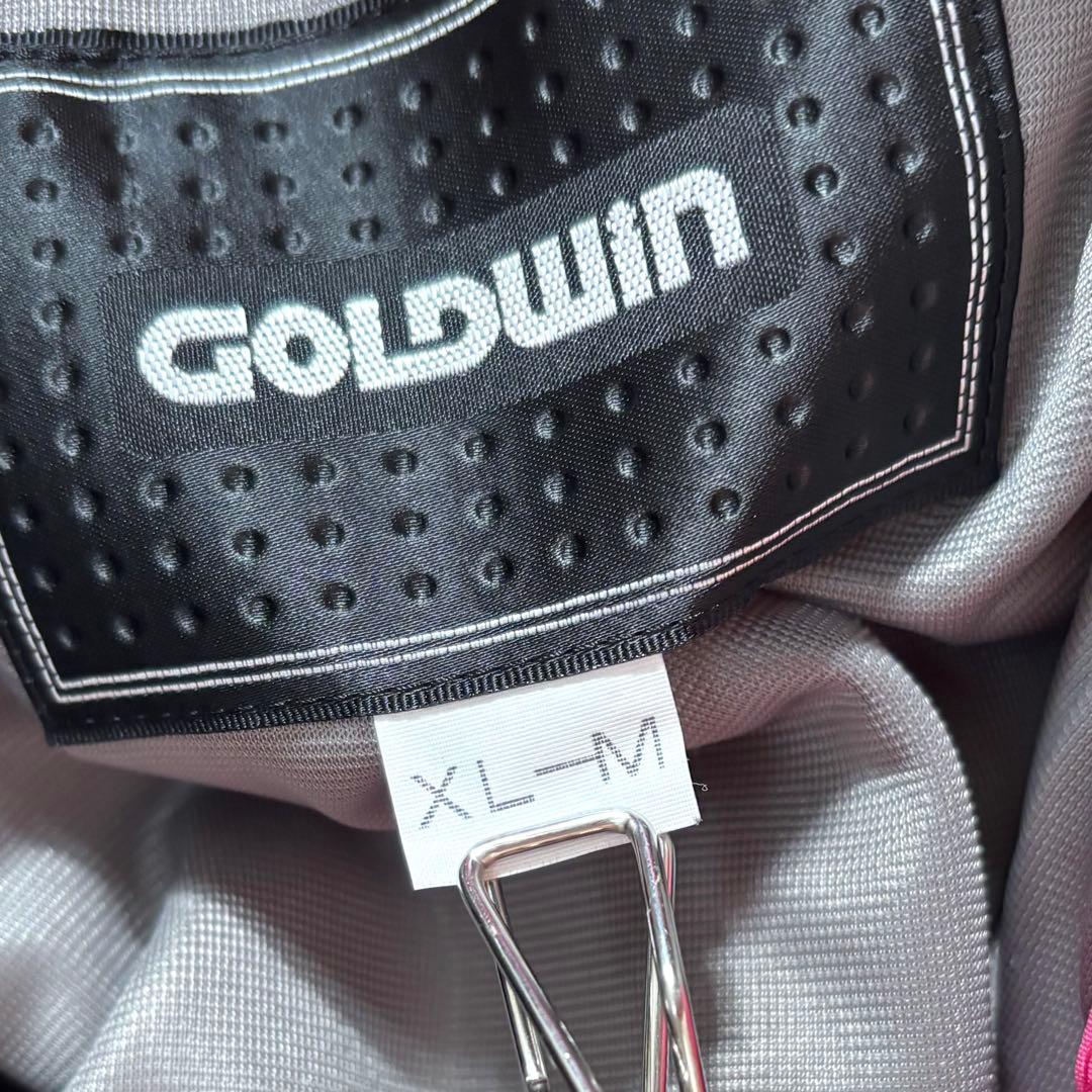 GOLDWIN スキーパンツ ウェア ピンク 撥水 ストレッチ レディース