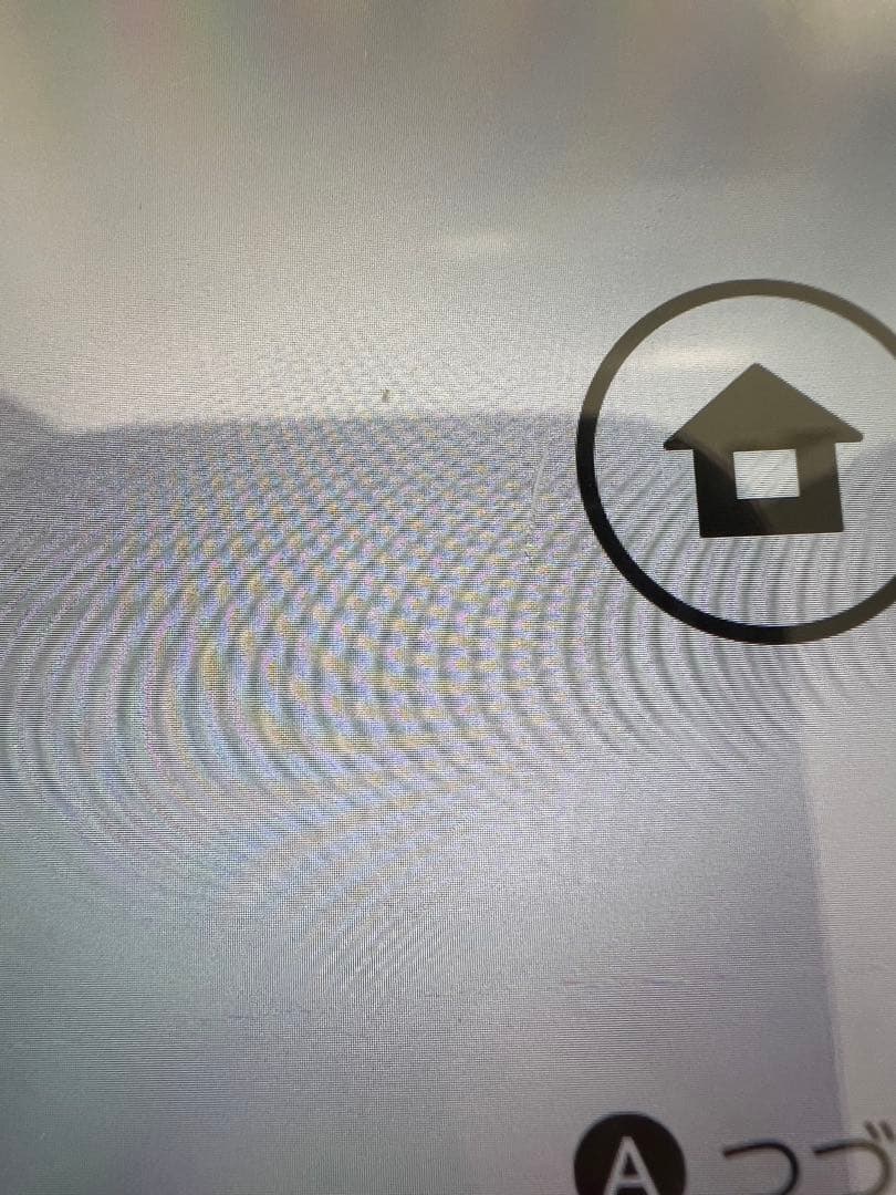 Nintendo Switch ニンテンドースイッチ本体ブルー/レッド箱無し