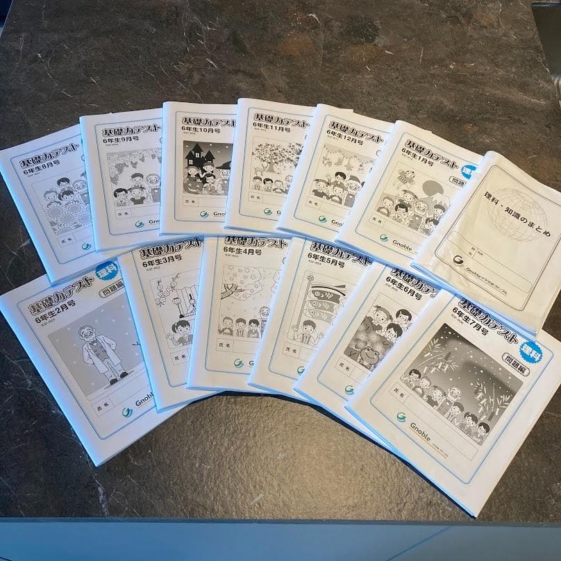 【超レア】グノーブル内部生用　6年理科基礎力テスト+理科・知識のまとめ全13冊