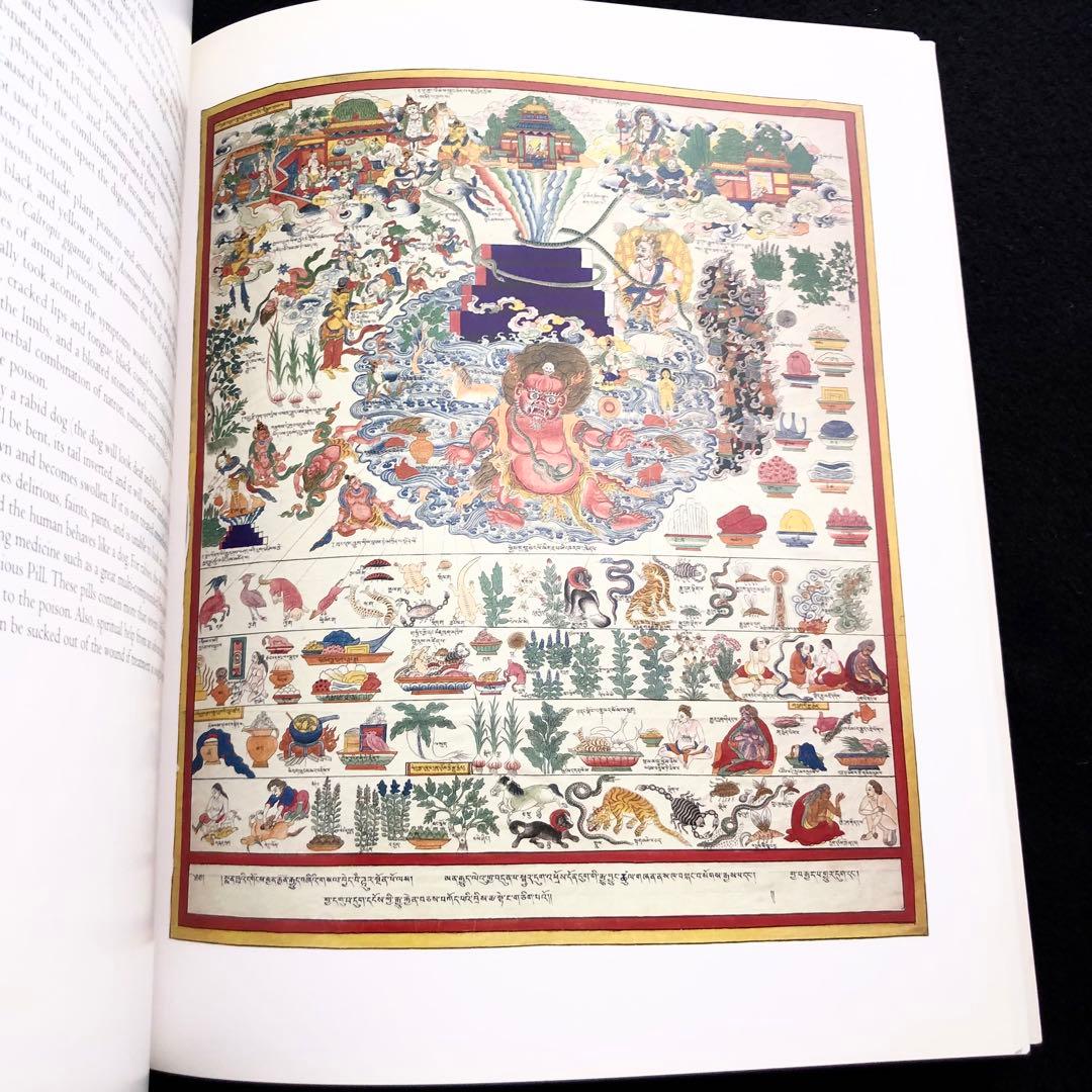 チベット医学 曼荼羅画集 The Buddha's Art of Healing