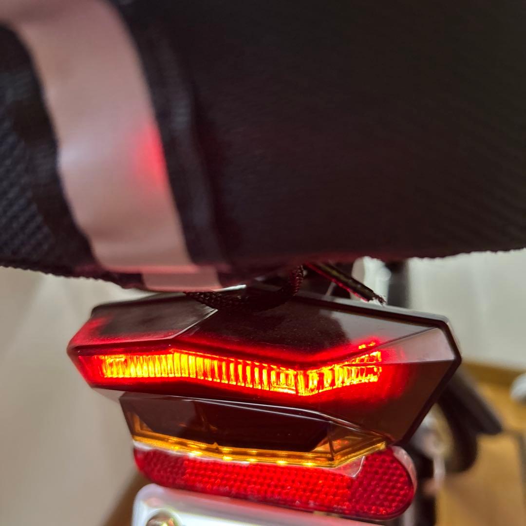 RICH BIT 電動アシスト自転車 折りたたみ式 黒