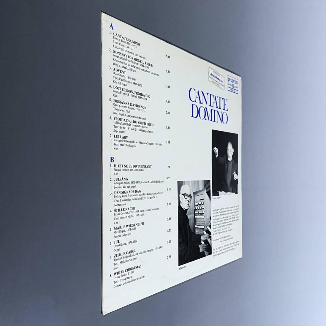 ★レア！スウェーデン初出【白地青文字ジャケット】カンターテ・ドミノ