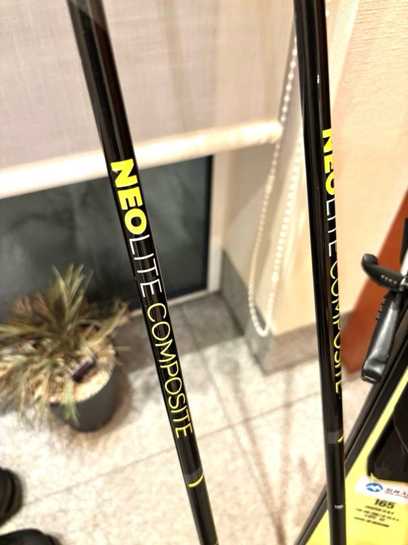 FISCHER RC4 RCS スキー 板　165cm &LEKIカーボンポール