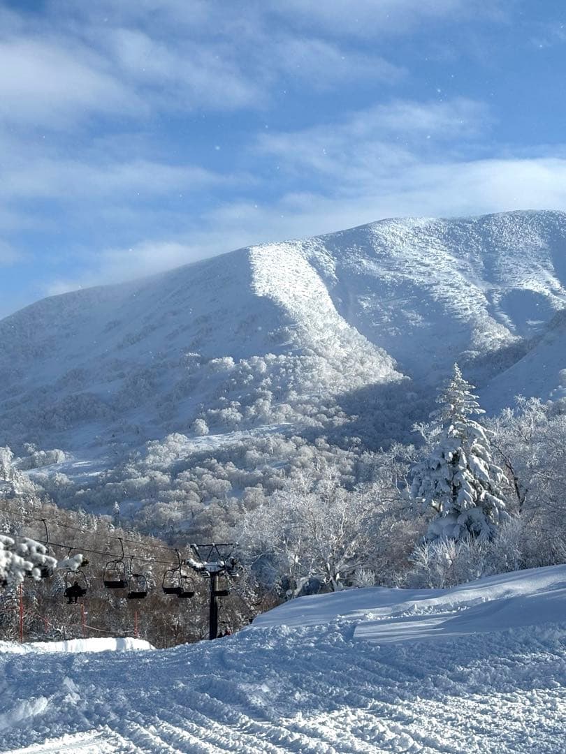 FISCHER RC4 RCS スキー 板　165cm &LEKIカーボンポール