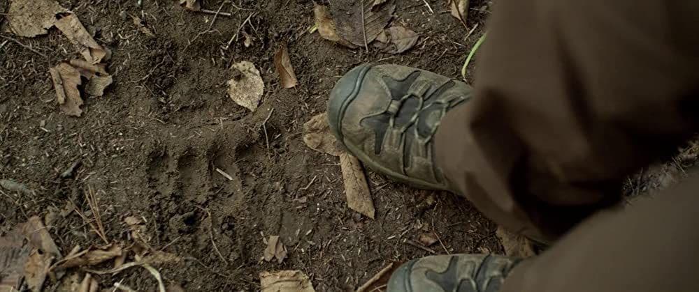 【廃盤】ブラックフット DVD　アニマルパニック ホラー グロテスク