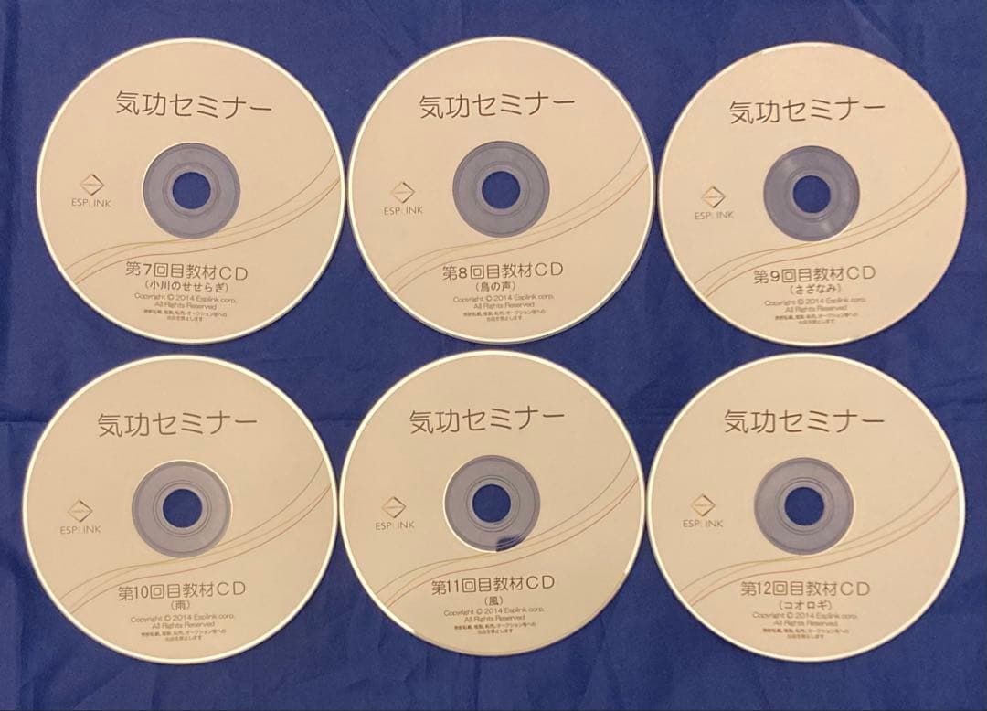 【フェーズⅠ修了後／実践重視】清水義久 気功継続プログラム フェーズⅡ