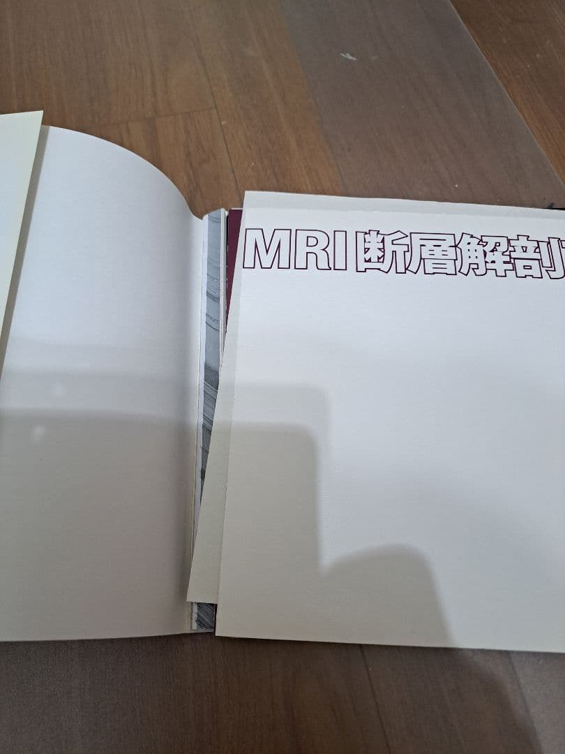 MRI断層解剖アトラス : 3Dで見る骨と筋　cd　付き