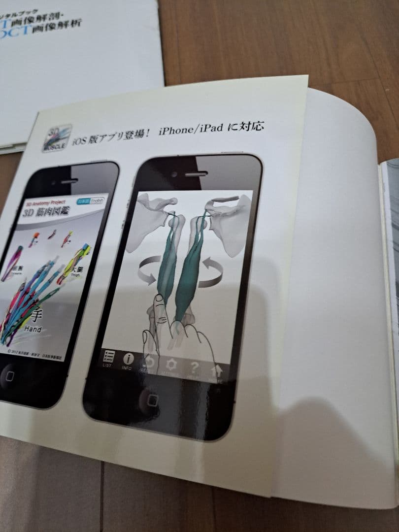 MRI断層解剖アトラス : 3Dで見る骨と筋　cd　付き