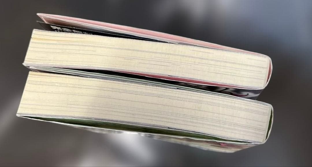 犬憑きさん 上巻下巻セット　唐辺葉介 小説 瀬戸口廉也