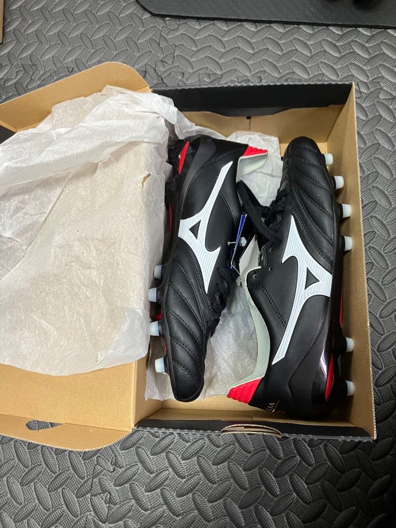 これ以上の値下げ　26.5 モレリアネオ2