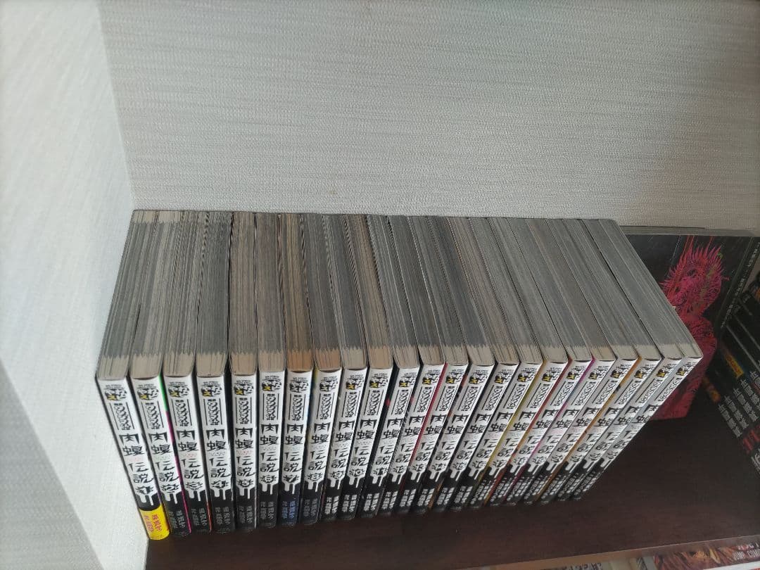 闇金ウシジマくん外伝　肉蝮伝説　1〜24巻　全巻セット