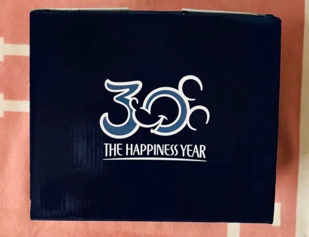 ディズニーランド 30周年 置物 オブジェ