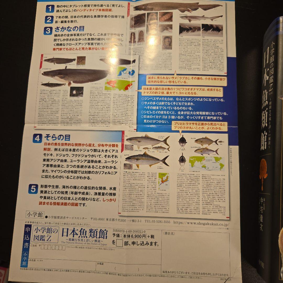 日本魚類館 精緻な写真と詳しい解説　おまけチラシ付
