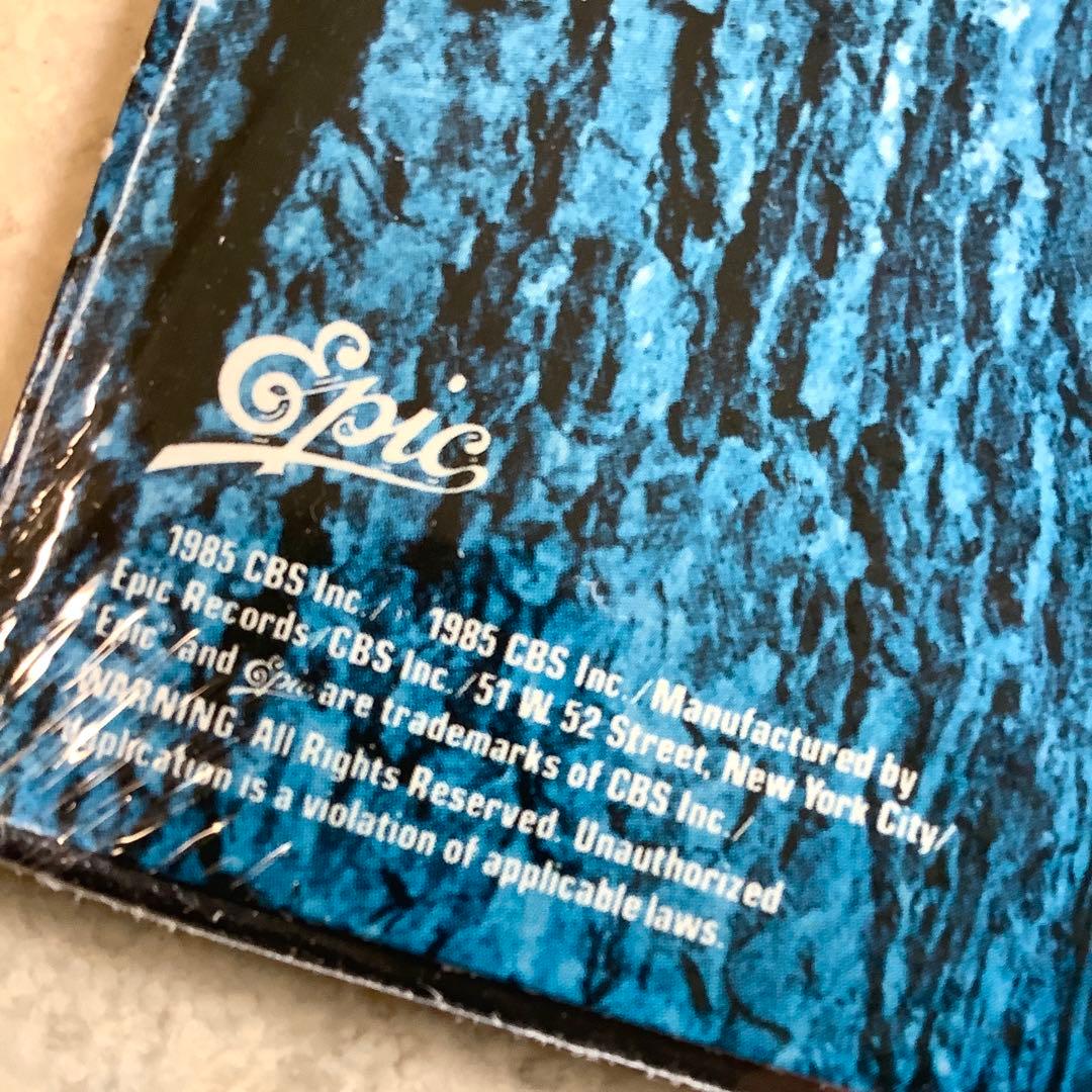 新品同様!シュリンク付 スティーヴィーレイヴォーン 1985年 USオリジナル