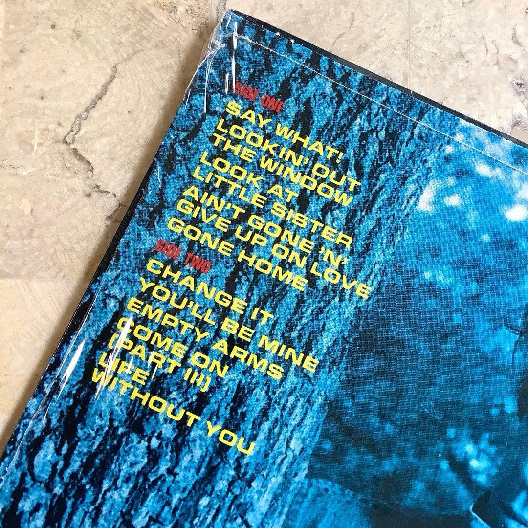 新品同様!シュリンク付 スティーヴィーレイヴォーン 1985年 USオリジナル