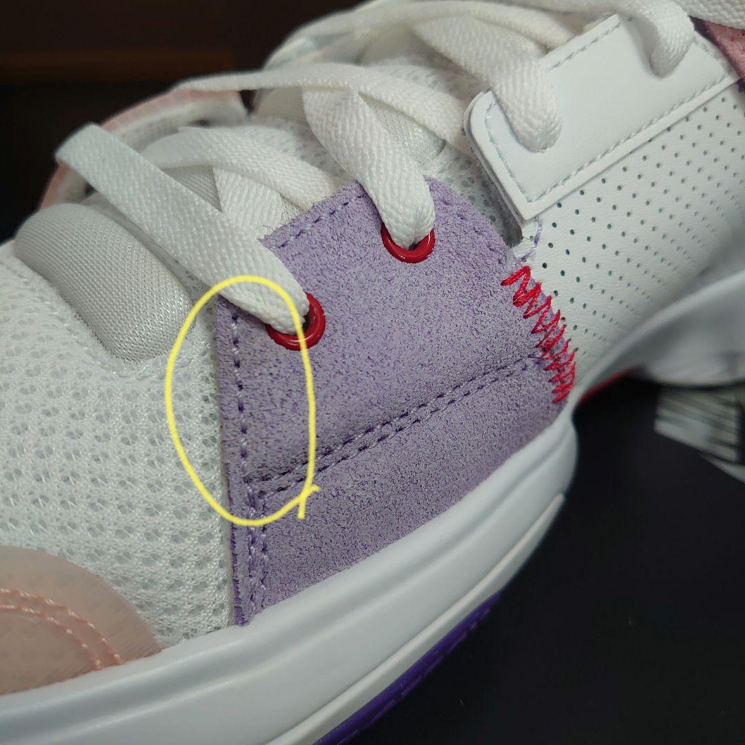 訳ありバッシュ 26.5cm JORDAN ジョーダン TAKE5