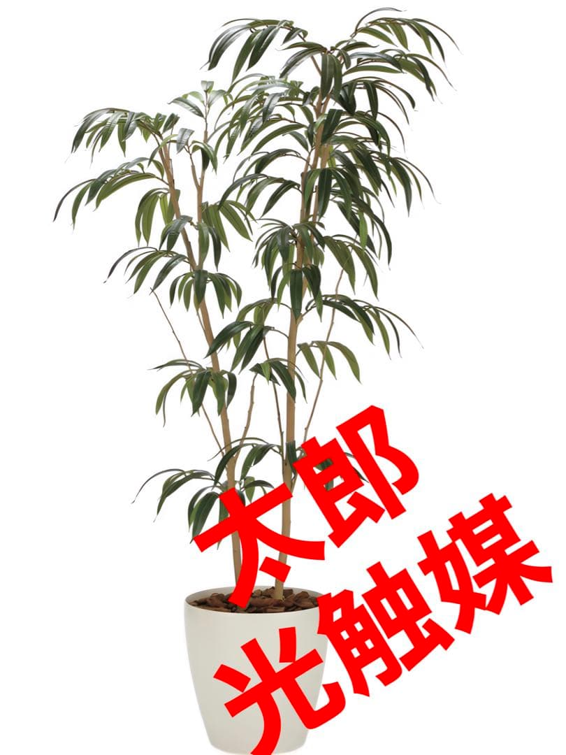 光触媒　人工観葉植物　フェイクグリーン ショウナンゴム1.8
