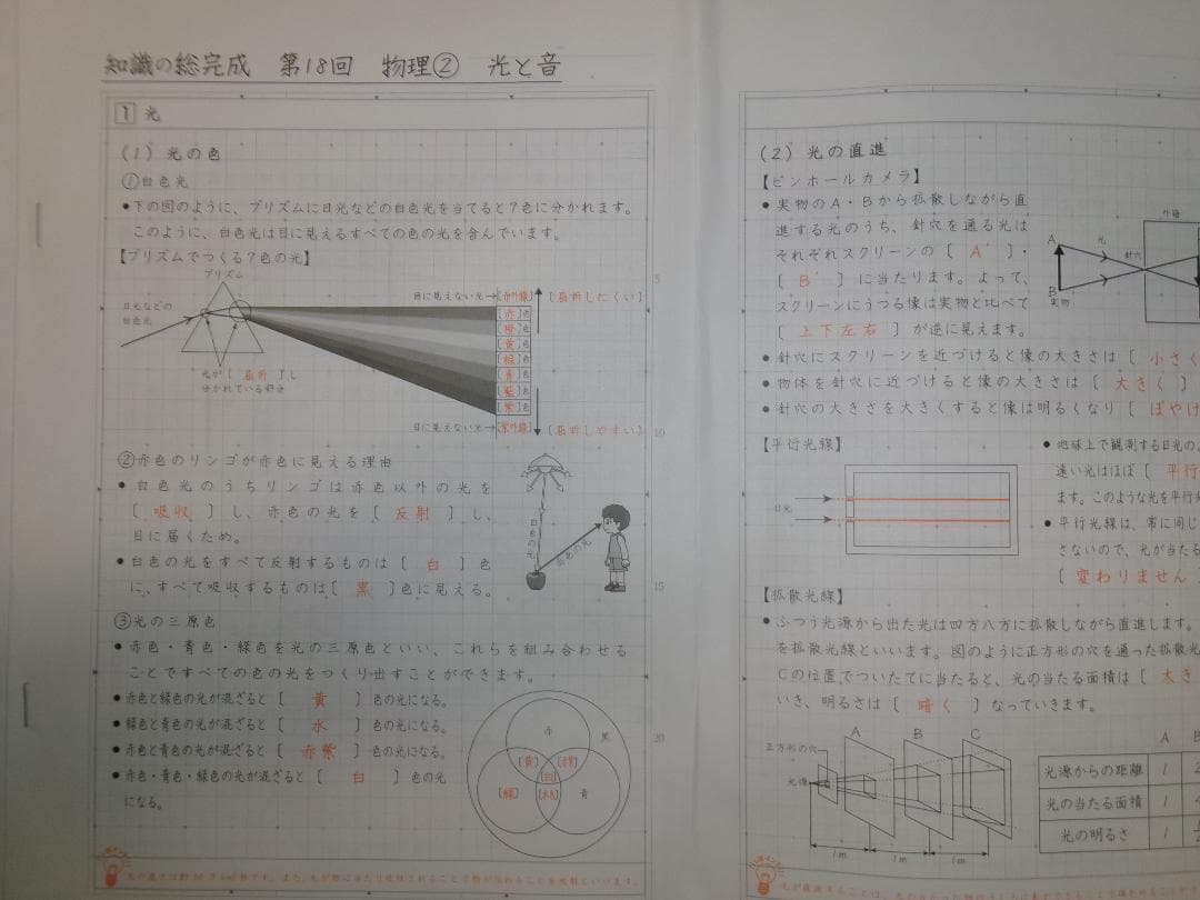 サピックス＊６年＊理科／知識の総完成・全１９回完全版＊赤シート対応／入試直前暗記