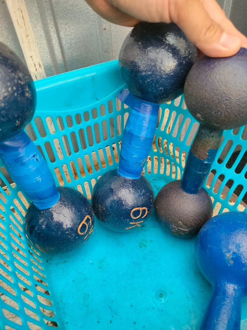 バーベルプレートセット 筋トレ 　画像にあるもの全て