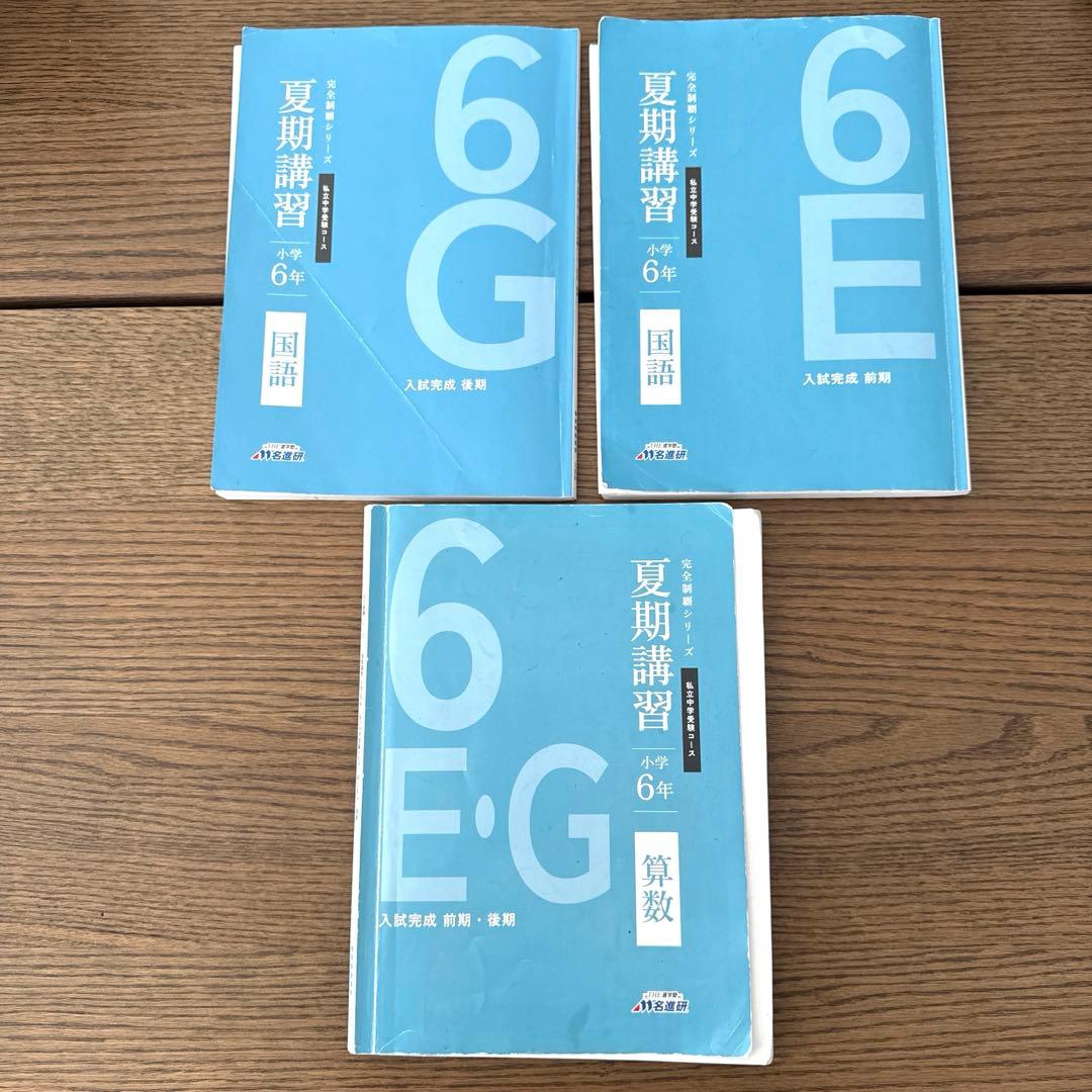 名進研　完全制覇　受験国語　受験算数　受験理科　受験社会　6年　中学受験　22冊