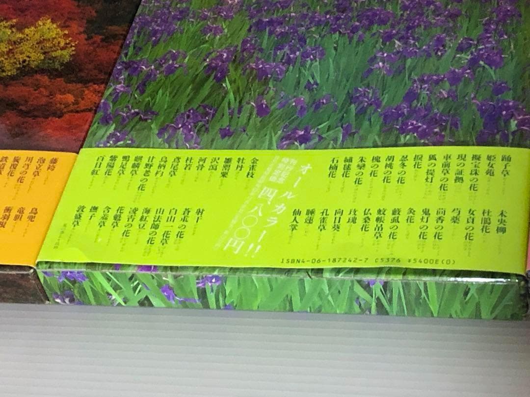 四季花ごよみ　全6冊　講談社　植物図鑑本　別巻　現状品