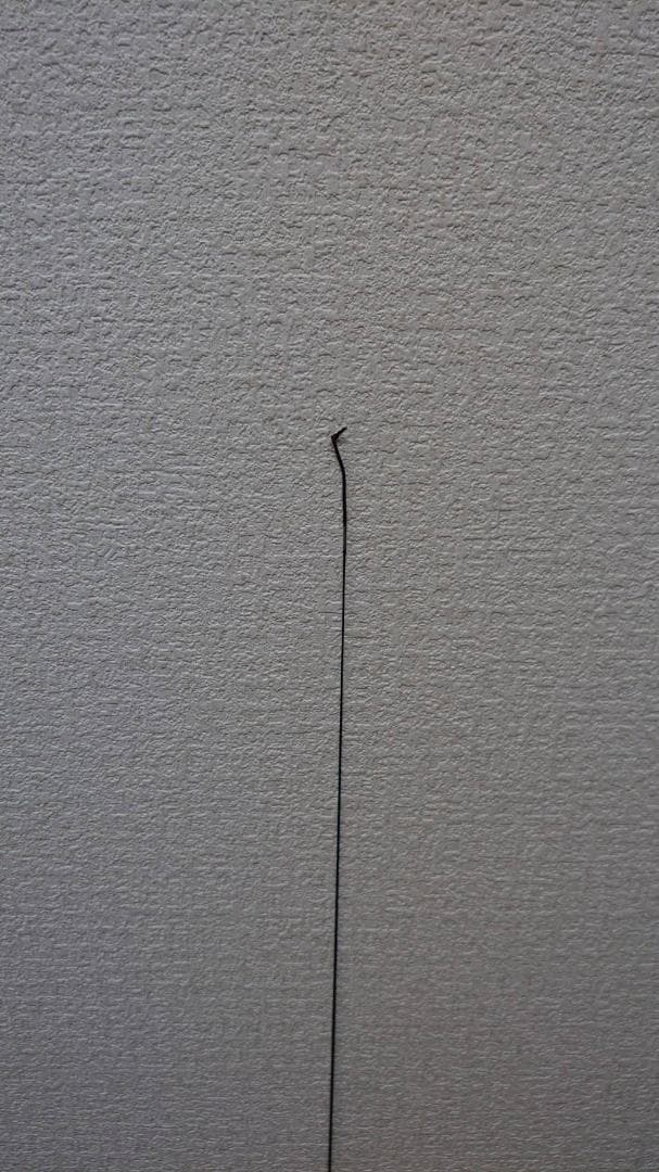 N*a様 SHIMANO シマノ渓流竿 山霧 硬調 53 ZZ