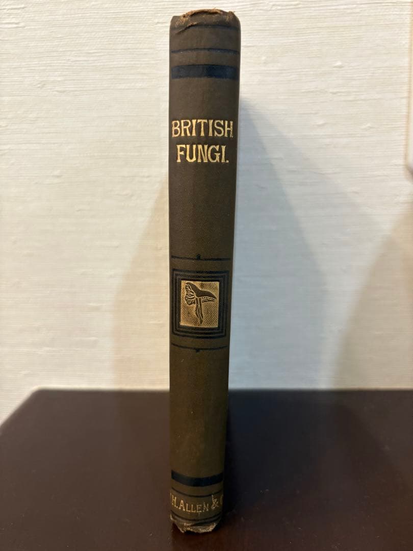 洋書 British Fungi by M. C. Cooke